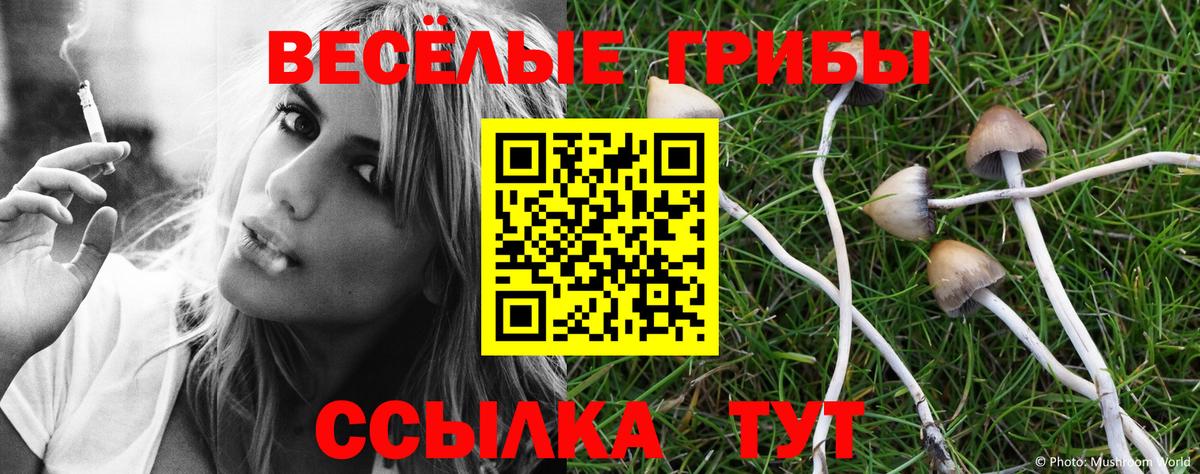 Саки  Псилоцибиновые грибы Psilocybe  Вход с VPN 