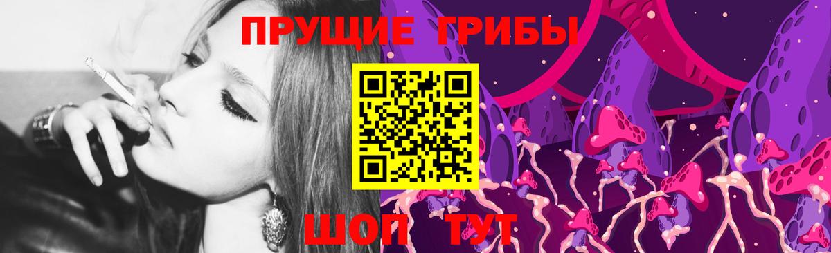 Псилоцибиновые грибы Cubensis Саки
